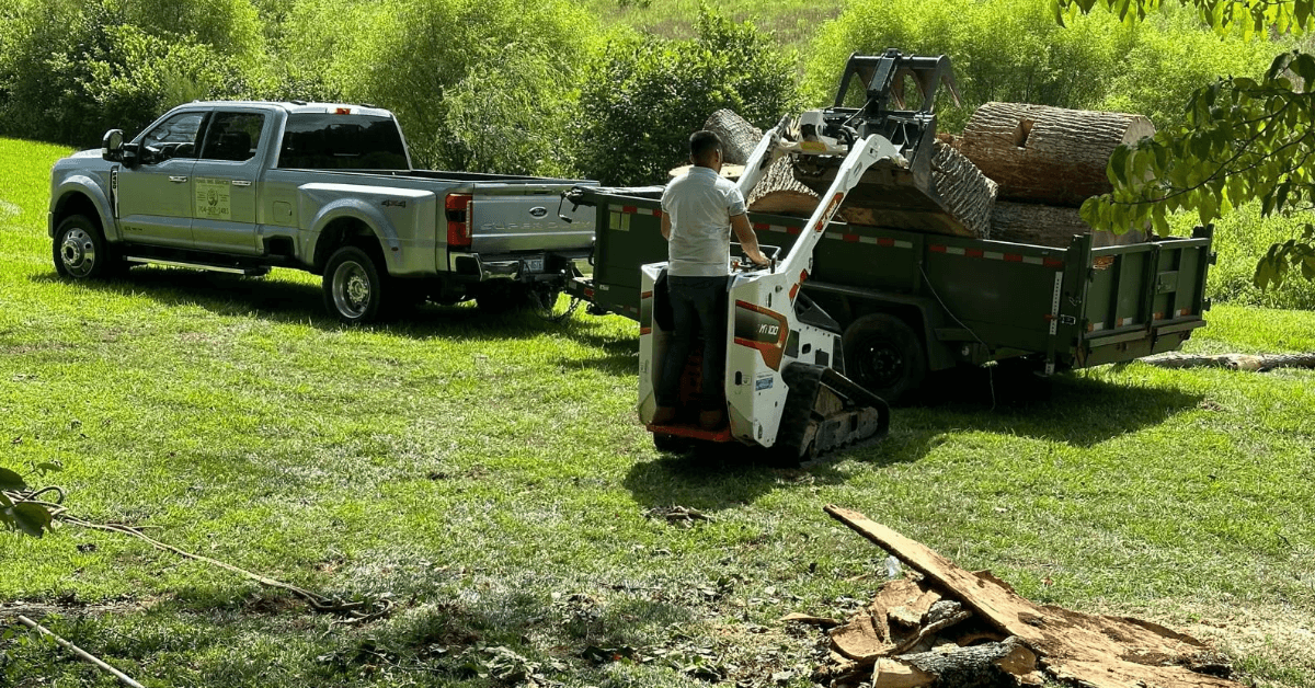 Shrub Removal