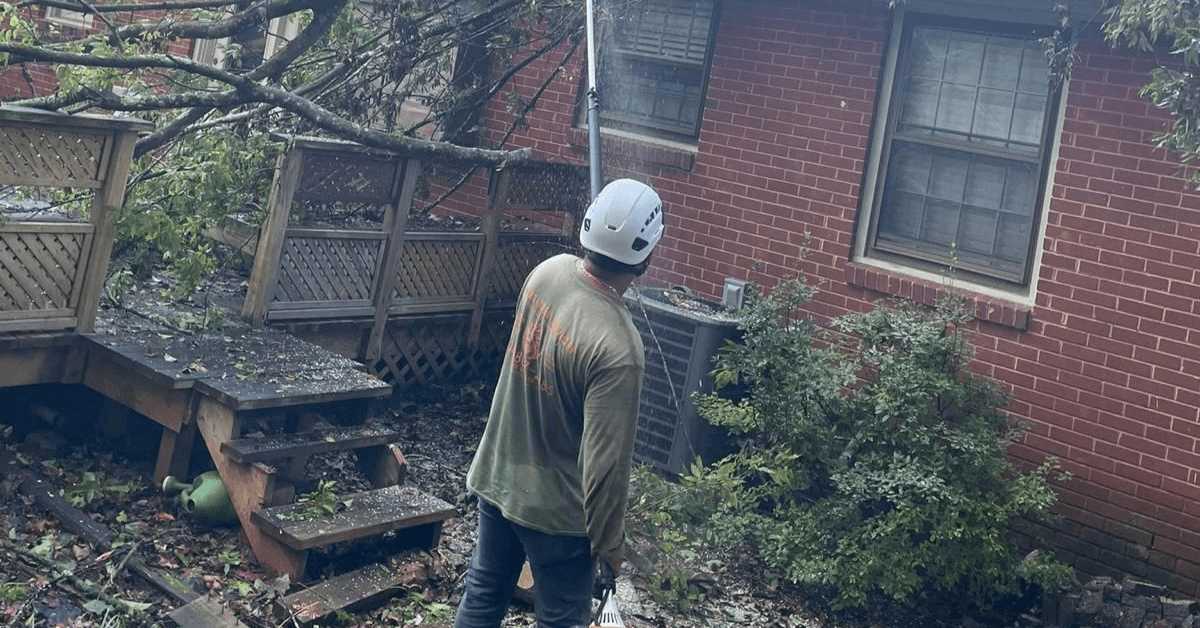 Storm Cleanup