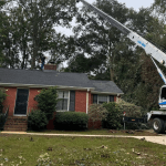 Tree Service Company