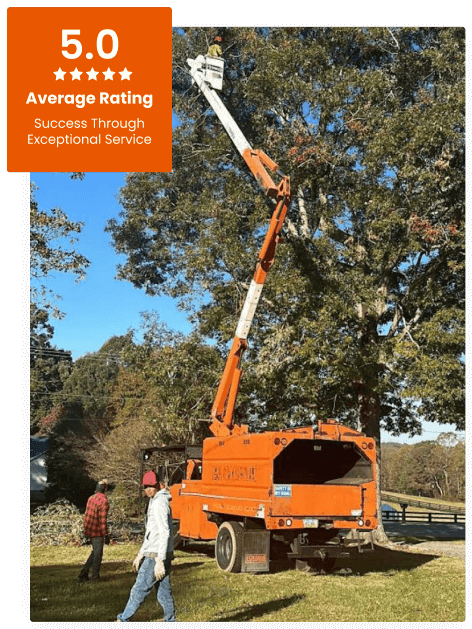 Commercial Tree Service
