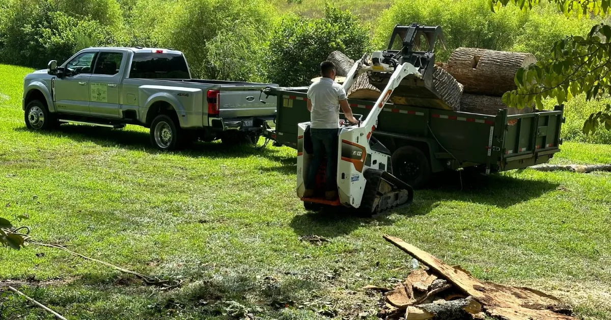 Shrub Removal