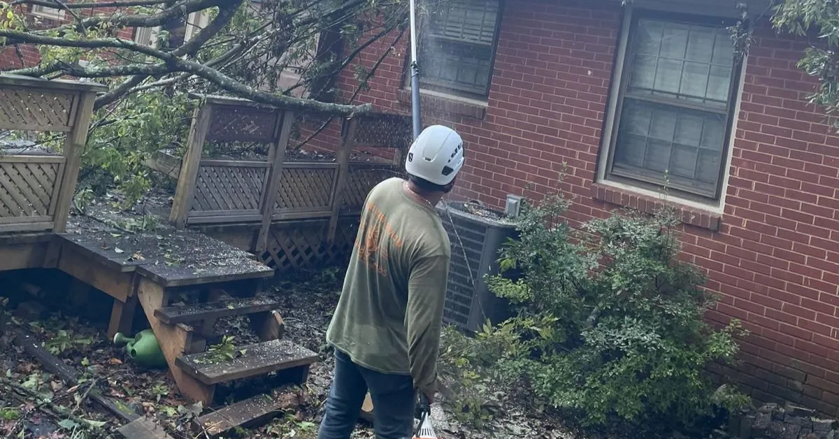 Storm Cleanup