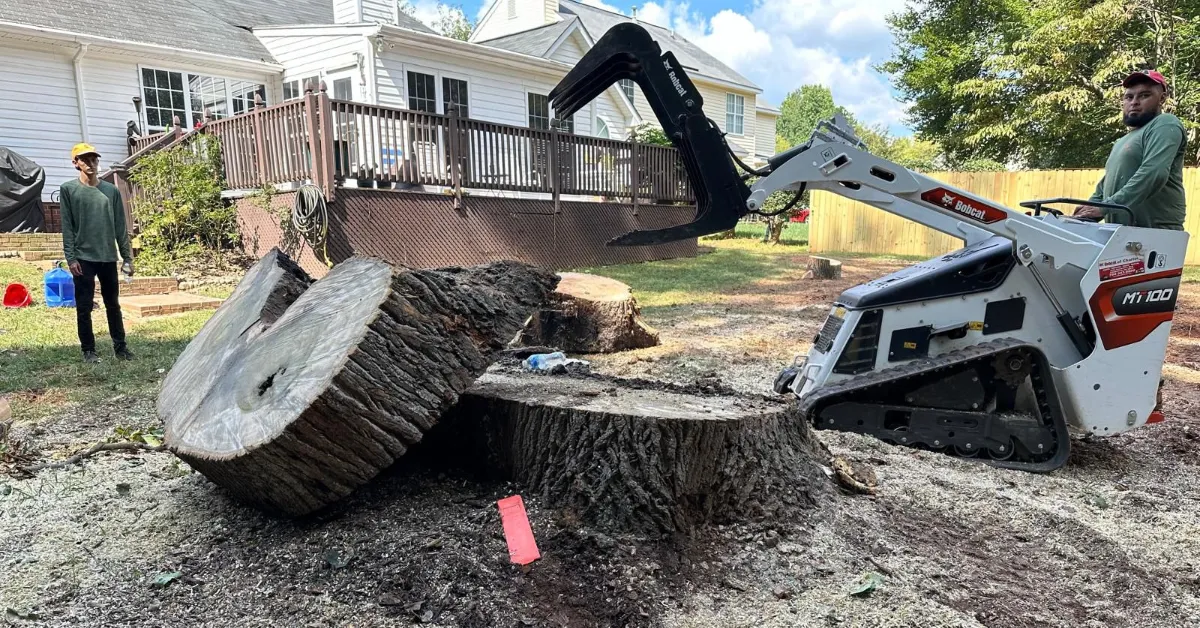 Stump Grinding