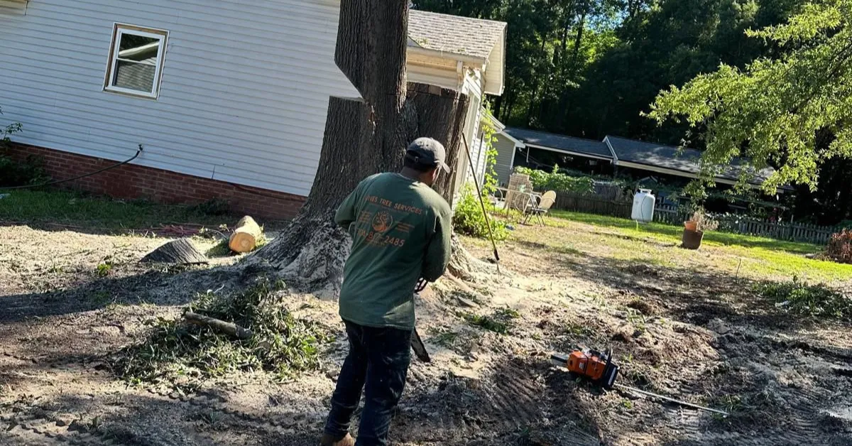 Tree Removal