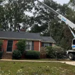 Tree Service Company