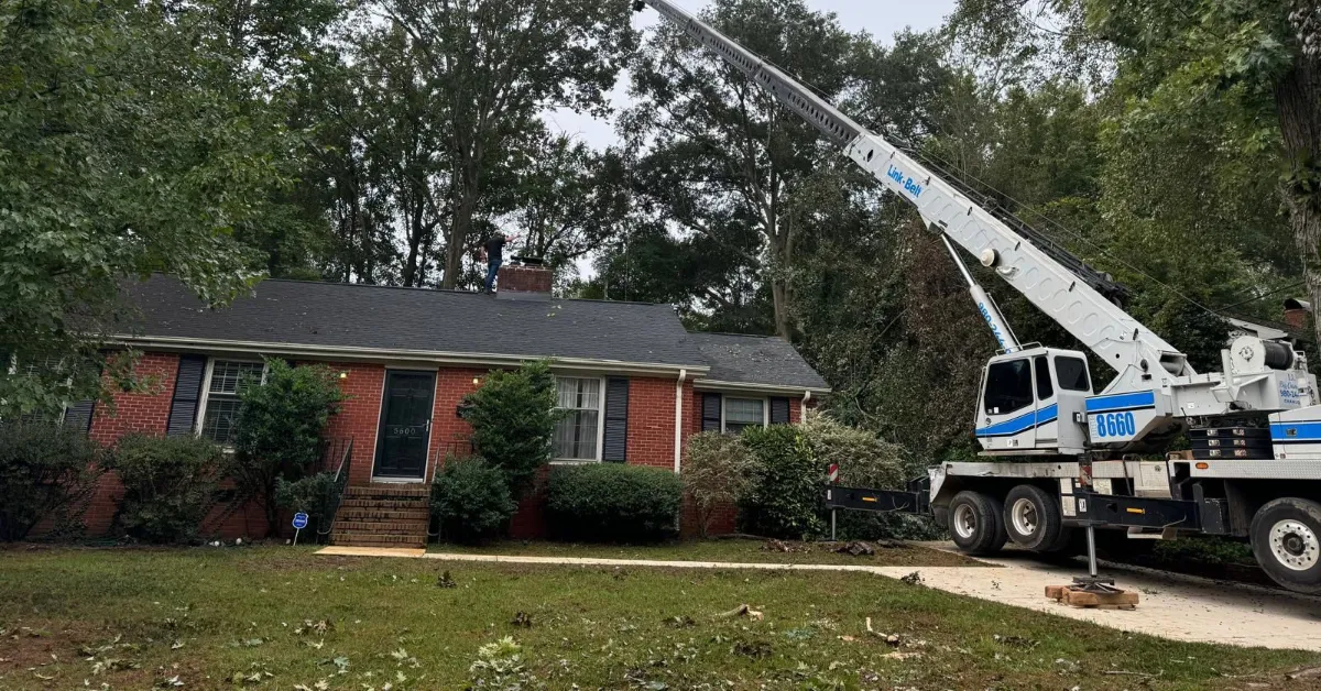 Tree Service Company