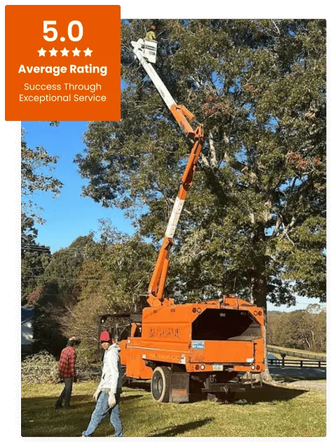 Commercial Tree Service