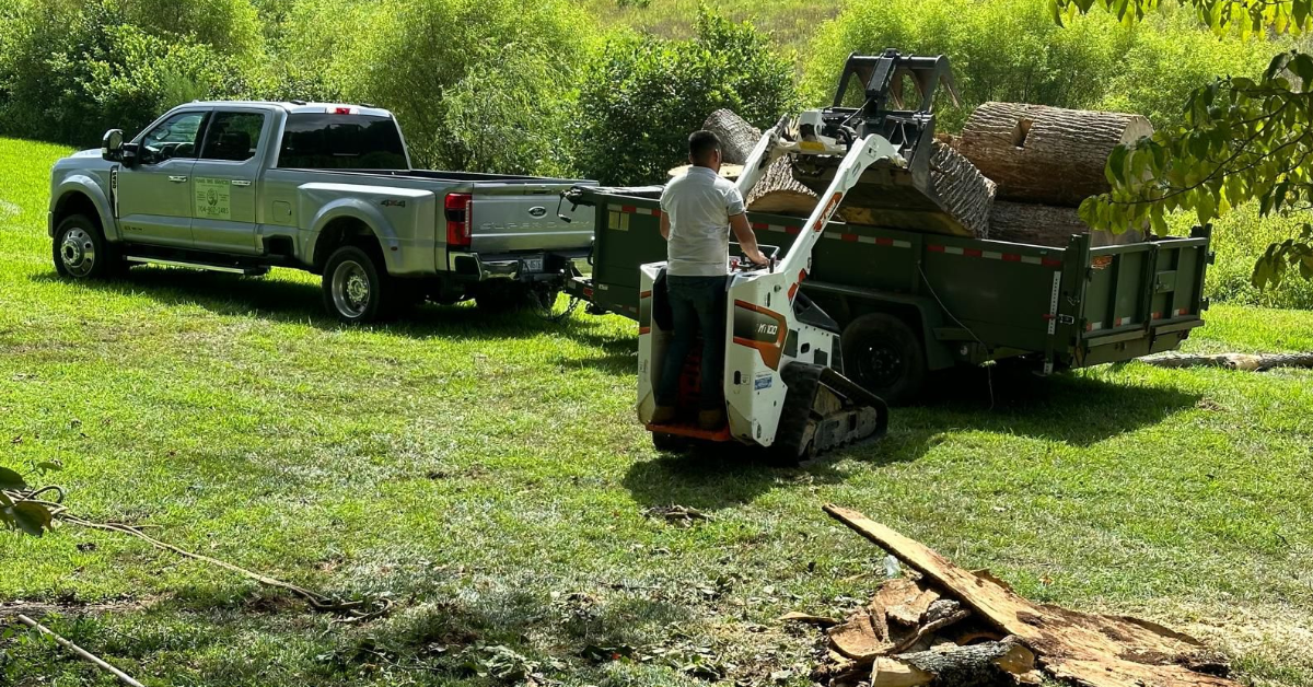 Shrub Removal