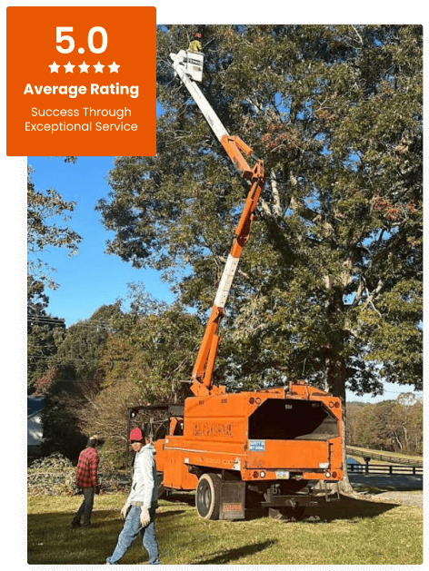 Commercial Tree Service